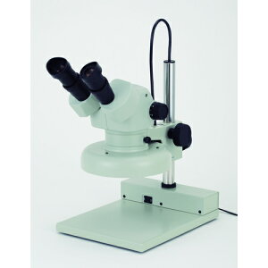 J[giCartonj@SPZ|50PF15|260@̌@yiԁFMS55821526z