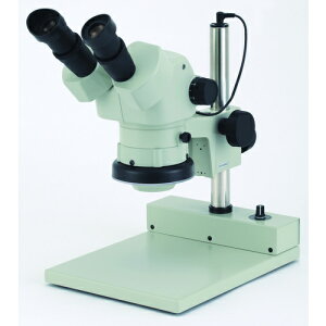 yʓrzJ[giCartonj@SPZ|50PG|260@̌@yiԁFMS566226z