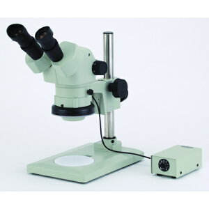 J[giCartonj@SPZ|50FTP|GS|260@̌@yiԁFMS577226z