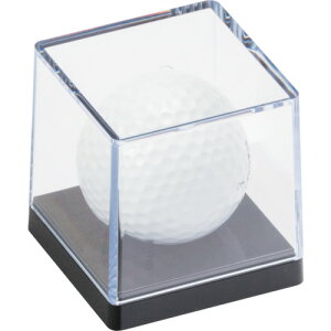 vHƁ@St{[1P@yiԁF560843z