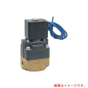 CKD�@���p���`�p�C���b�g���d���ف@�y�i�ԁFFWD11-10A-02C-AC100V�z