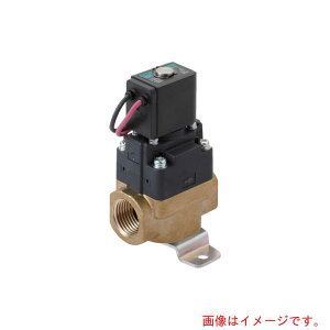 CKD�@���p���`�p�C���b�g���d���ف@�y�i�ԁFFWD11-20A-02CS-AC200V�z