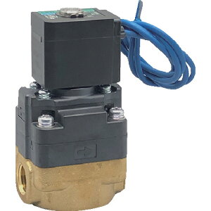 CKD�@���p���`�p�C���b�g���d���ف@�y�i�ԁFFWD11-8A-02C-AC100V�z