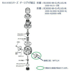 CKD�@F�DR�DL���j�b�g�@1000�V���[�Y�p�@�Q�[�W�v���O�g���@�y�i�ԁFR1000-W-G-PLUG-N�z