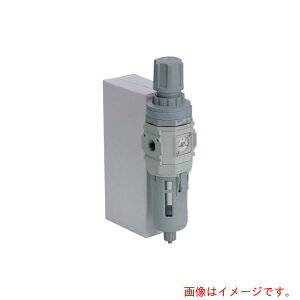 CKD�@�t�B���^���M�����[�^�@���F�V���[�Y�@�y�i�ԁFW3000-15-W-BW�z