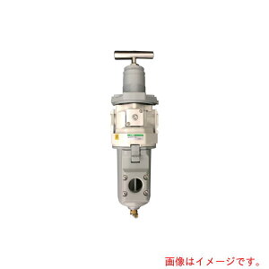 CKD�@�t�B���^�E���M�����[�^�@���O�V���[�Y�@�y�i�ԁFWW4000-15-W-K�z