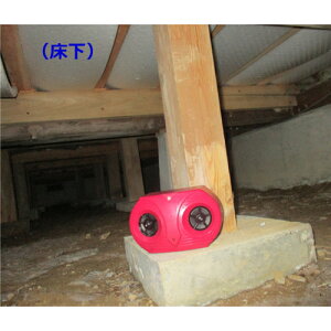 yʓrzRp@dr˂ݖh@y24z@yiԁF030129z