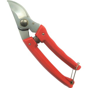 y[֑ΉziiDAISHINj@EG@N[bL@180mm@yiԁF501115z