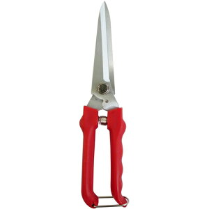 y[֑ΉziiDAISHINj@EG\O225mm@yiԁF501467z