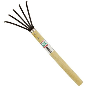 iiDAISHINj@EGEҌFij@yiԁF501610z