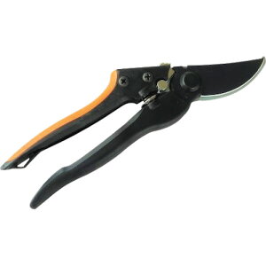 y[֑ΉziiDAISHINj@OXt@Co[@@yiԁF701317z