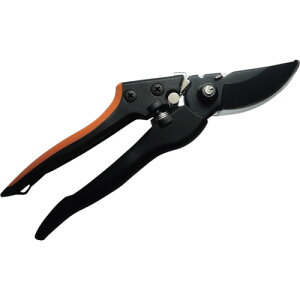 iiDAISHINj@OXt@Co[@Lb`@\t@yiԁF701348z