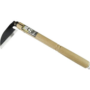 iiDAISHINj@P͕˂芙@yiԁF800423z