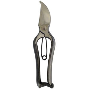 y[֑ΉziiDAISHINj@P͖{b200mm@yiԁF800652z