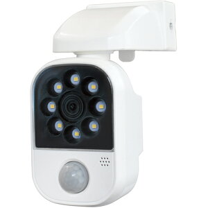 iiDAISHINj@[dZT[CgA[@\t@yiԁFDLC-2T100ARz