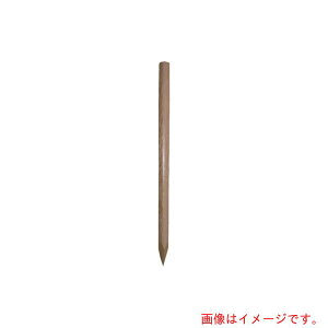 匤HƁ@[؍Y80X900x[W@Ȃ@yiԁFG8009BENz