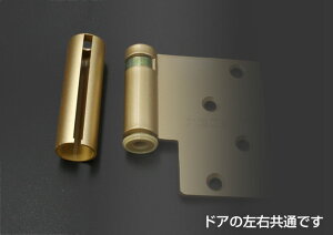 y[֑ΉzDAIKEN@hA Jo[ Ep@S[h@yiԁFPQDDK4SCGz