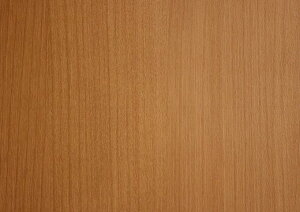 DAIKEN@^bNV[g 10m@MTieB[uEjF@10mɃJbg@yiԁFPQATSR3MT(10m)z