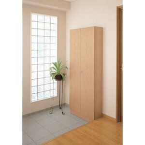 yʓrzDAIKEN@ʔ^OmzCg@yiԁFFW0801-1THz