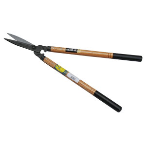 hEJ@V-165 @yiԁF0102z