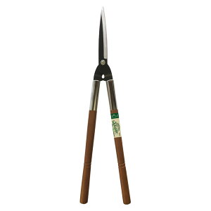 hEJ@Shozo ij@yiԁFDS006z