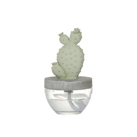 ダルトン（DULTON）　CACTUS FRAGRANCE DIFFUSER A ELEGANT PEONY カクタス フレグランス ディフューザー　【品番：G675-824A-EP】