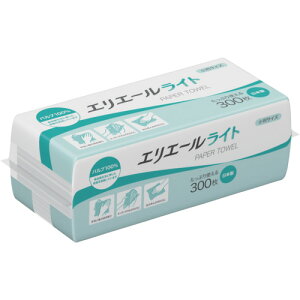 EBS@GG[@GG[y[p[^I@Cg@@300@42pbN@y50z@yiԁF21001568z