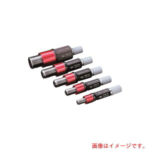 AC[iEISENj@EFC˂vOQ[W@SPO@GPIP2@ʂ~ipj@M3X0D5@yiԁFSPO-M3P0.5-GPIP2z