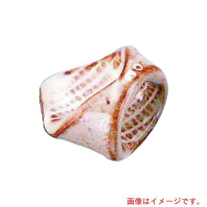 iTKGj@GYWp@̂ӃOu@T03|148@yiԁFRHSK501z