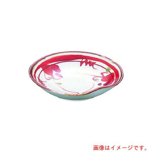 y[֑ΉziTKGj@GYWp@ÐԊGԂǂM@T05|48@yiԁFRTLI401z