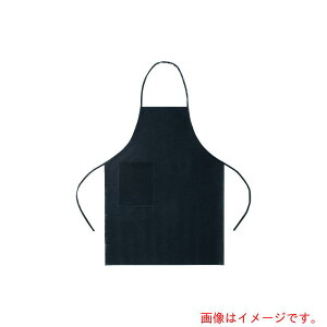 iTKGj@ĝā@[NGvi25j@yiԁFSEPC901z