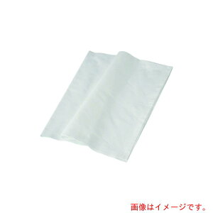 y[֑ΉziTKGj@V炵@zi100j@yiԁFBDS1301z