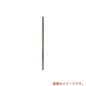 �y�ʓr��������z�G���N�^�[�@ERECTA�@�x�[�V�b�N�V���[�Y�@�E�J�B���e�[�W�G�f�B�V�����@�|�[���@H700mm�@�V���o�[�i2�{���j�@�y�i�ԁFB28PVS2�z