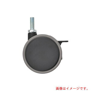 GN^[@ERECTA@x[VbNV[Y@oփLX^[@Xgbp[t75mm@ubN@i2j@yiԁFBDRS75EBKGz