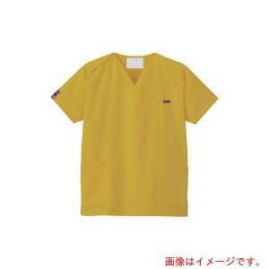 �t�H�[�N�iFOLK�j�@PANTONE�X�N���u�@�}�X�^�[�h�C�G���[�@3L�@�y�i�ԁF7000SC-19-3L�z