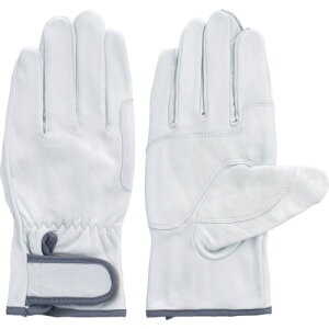 y[֑ΉzxmO[u@Y{v܁@CW[{[C@M@yiԁF3623z