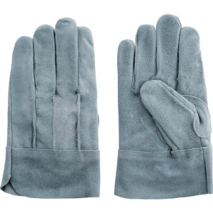 xmO[u@v܁@IC661@ICȔwD@yiԁF5336z