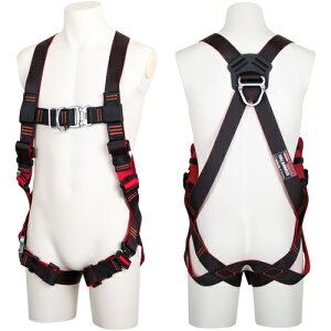 dH@TSUYORON@Hn[lX@n[lX{̂̂݁@Eԁ@LTCY@Dt@yiԁFTH508OTOTBKRLBXz