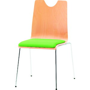 yʓrzHƁ@TOKIO@tbV`FA@4{r@CgO[@yiԁFRMH-N4 LGNz