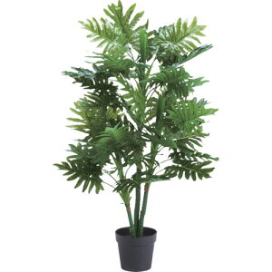 HƁ@@lHϗtA@Z[iWjWD|11@yiԁFWD-11z