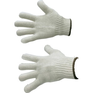 xm܍HƁiFUJITEj@aR@ȓHꂮā@nҁ@yiԁF2600-Gz