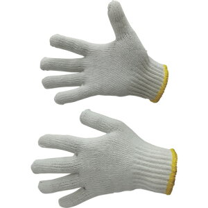 xm܍HƁiFUJITEj@aR@FUJIBOY@{@yiԁF8060z