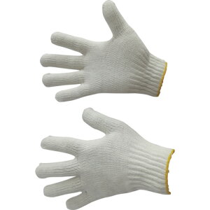 xm܍HƁiFUJITEj@aR@{@yiԁF8100z