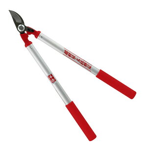 YƁ@g@^fB[X} 50CM@yiԁF4977292618120z