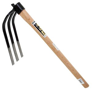 YƁ@g@ L O{ @yiԁF4951572005725z