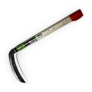 y݌ɏz@≥ IB^n 165 p@yiԁF#158z