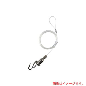 y[֑ΉzH|@ZteBeOX݁@a1D17mm@1m@F|0884@yiԁFF-0884z