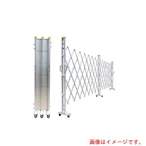 yʓrzQ[gHƁ@A~NXQ[g@hYQ[gh@1D2m×4D2m@J@yiԁF12AYW-42-21z