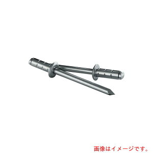 GESIPA�@�l�ߑւ��p���x�b�g�@PolyGrip�m�mR��n�n�@�A���~�^�X�`�[�����@100�{����@��4�D0mm×10mm�@�y�i�ԁF1433848�z