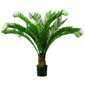 yʓrzO[xiGlobenj@lH؁@tFCNO[@\ecUV@pt@yiԁFA70TR111z